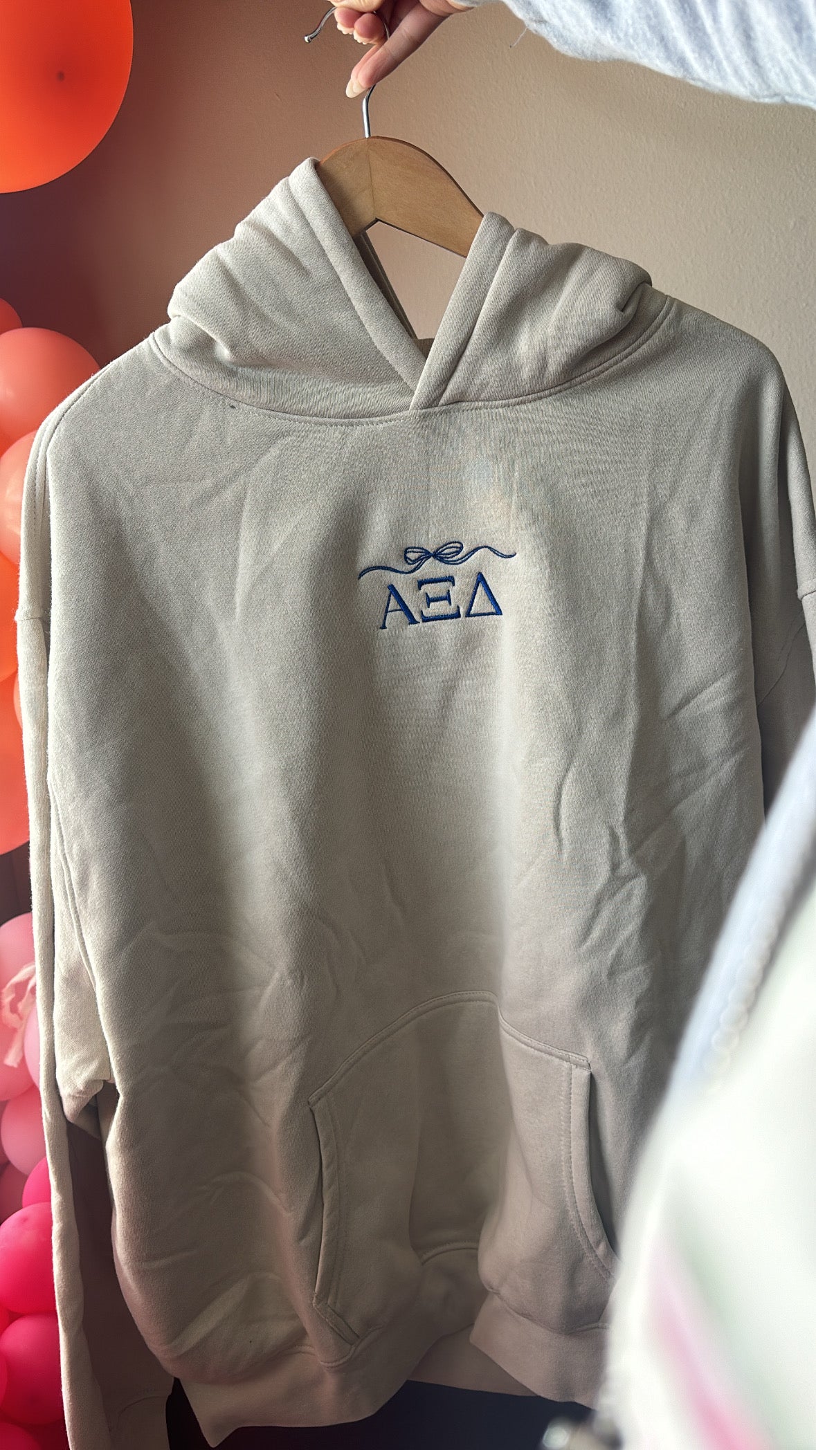 AXiD Embroidered Hoodie