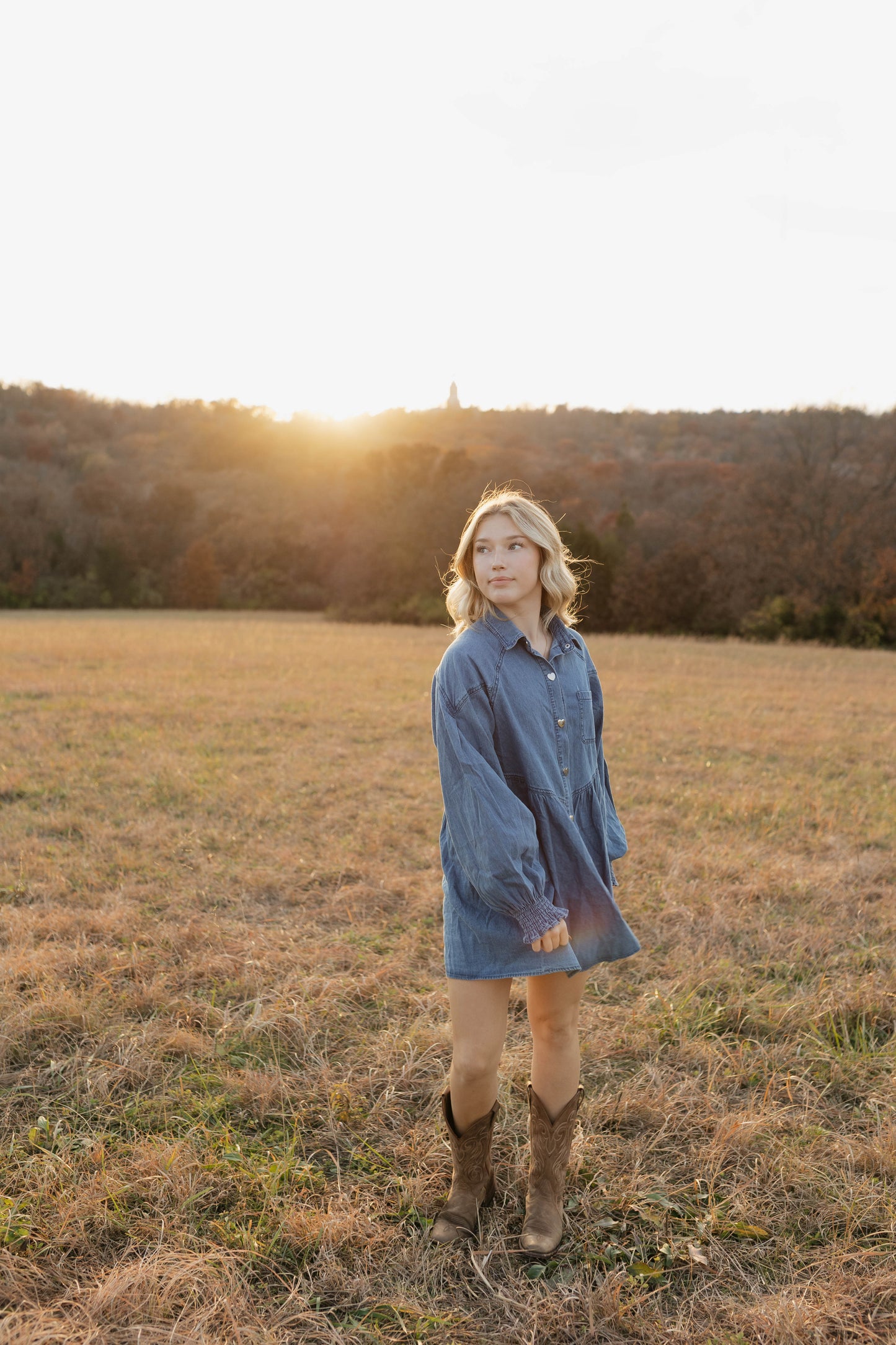 Apple Ridge Denim Dress