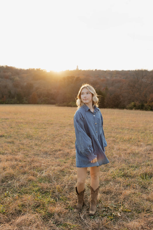 Apple Ridge Denim Dress