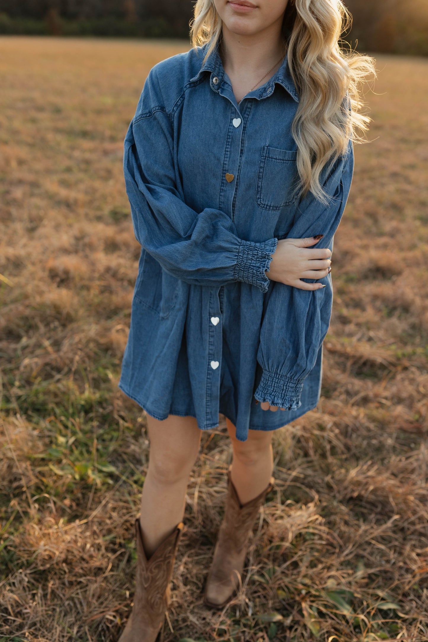Apple Ridge Denim Dress