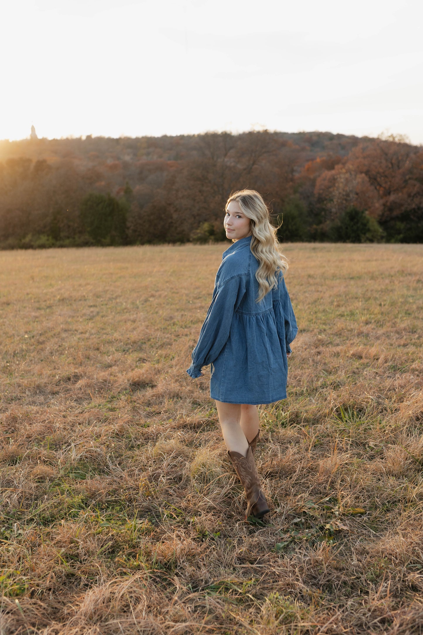 Apple Ridge Denim Dress